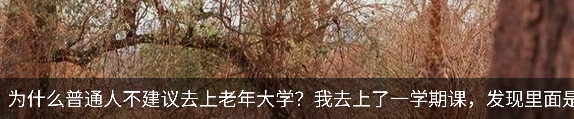 资讯动态